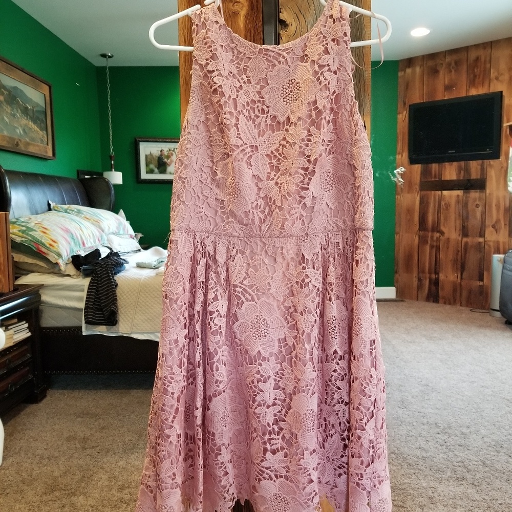 ANTHRO CeCe brand Pink 6 Lace Dress